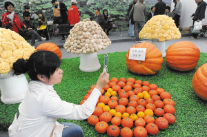 营养价格齐翻番 农产品深加工如何点土成金