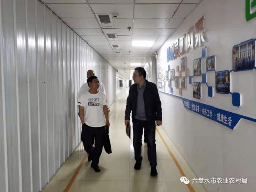 市农业农村局深入一线开展农产品加工业调研指导，助力产业提质增效