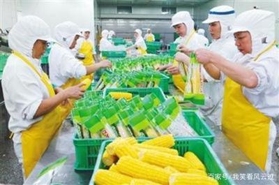 从大蒜之痛到农业之稳 如何构建农产品价格“减震器”