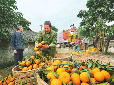 电商时代下，农产品实体店的生存之道与发展机遇