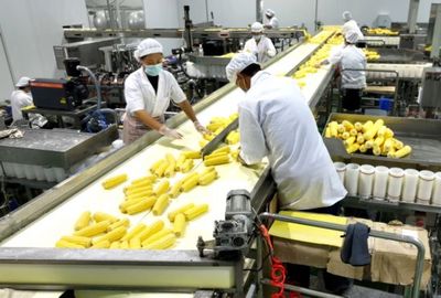 吉林省农嫂食品 玉米的华丽转身，引领产业振兴新篇章