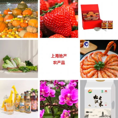 上海新春农产品大联展 千余种优选农品为节日添彩