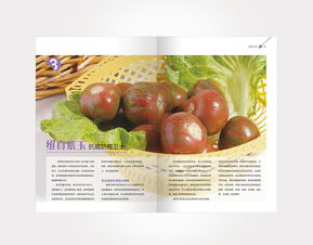 农产品平面设计与ZCOOL平台上的ZCL木偶风格书装艺术