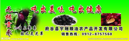 农产品的视觉魅力 从田间到餐桌的自然之美