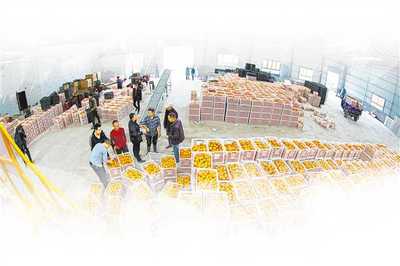 重庆农产品出口能否走‘特而美’之路